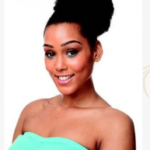 Cherish Afro Puff Ponytail